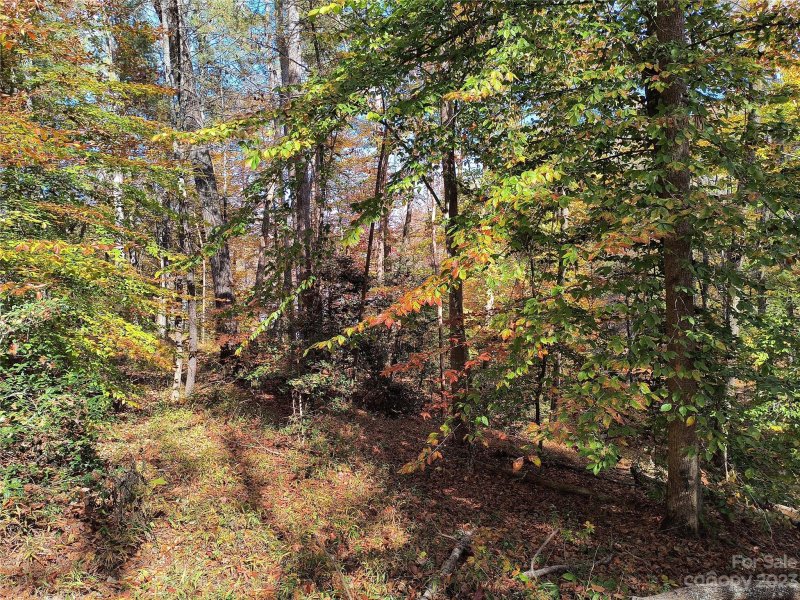 Property image 4 of 115 Glass Water Point in Lake Rhodhiss Estates, Valdese, NC 28690