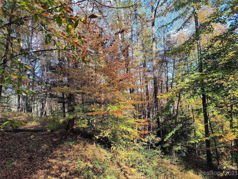 Property image 5 of 115 Glass Water Point in Lake Rhodhiss Estates, Valdese, NC 28690