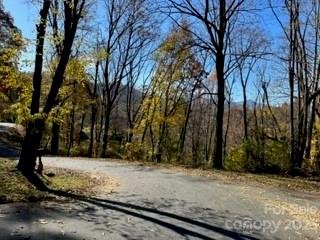 Property image 2 at 19 Lochmoor Lane, Waynesville, NC 28785