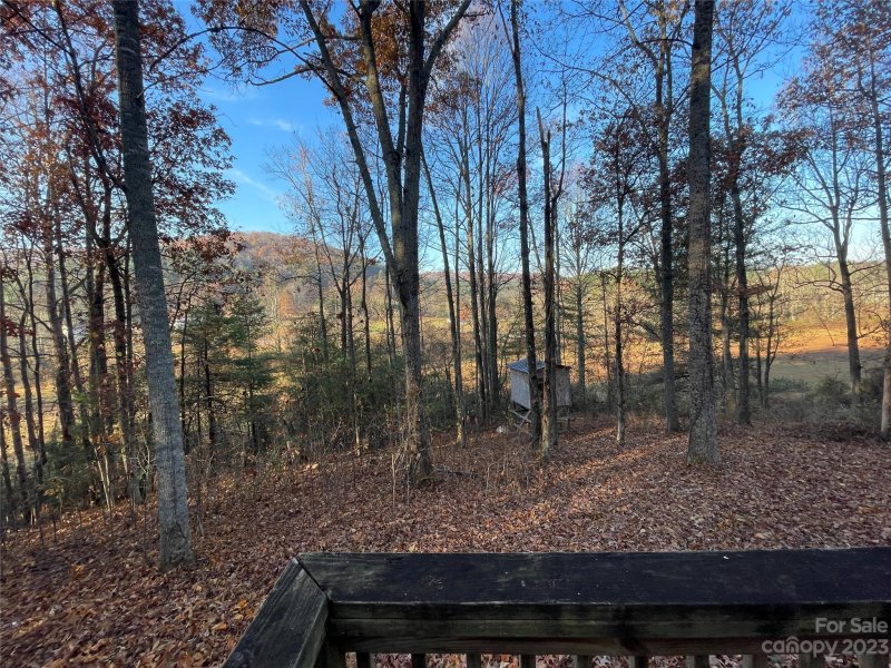 Property image 3 at 79 Pastoral Way, Hendersonville, NC 28739