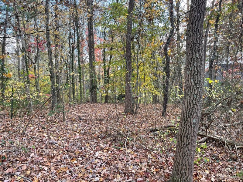 Property image 3 at 000 Perdue Place, Asheville, NC 28806