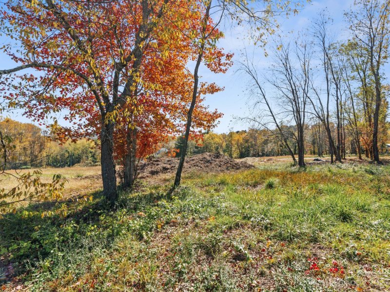 6 Scott Meadows Drive