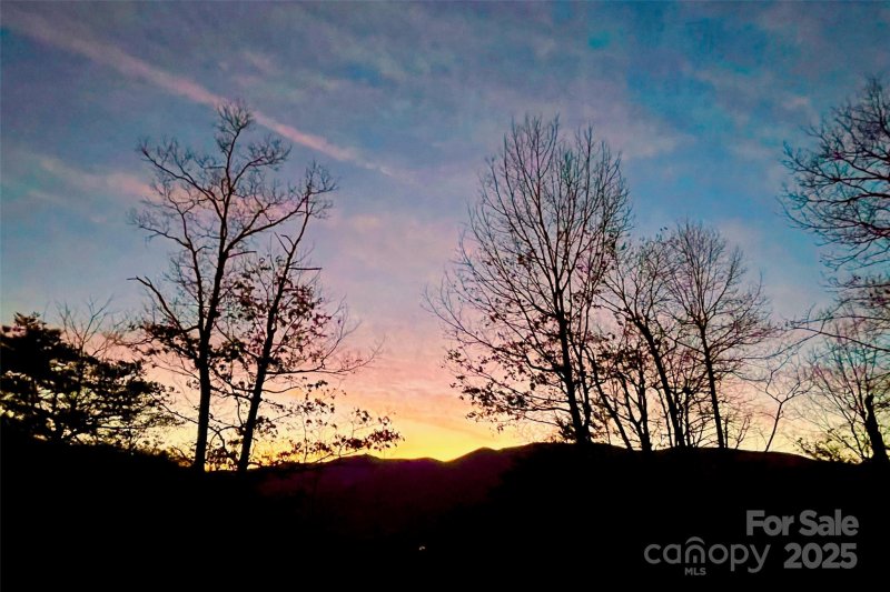 Property image 3 of 9999 Sourwood Road in Blue Ridge Vistas, Canton, NC 28716