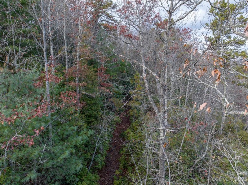 Property image 5 at M24 Elk Mountain Trail, Brevard, NC 28712