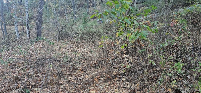 Property image 2 at 106 Silverleaf Circle, Maggie Valley, NC 28751