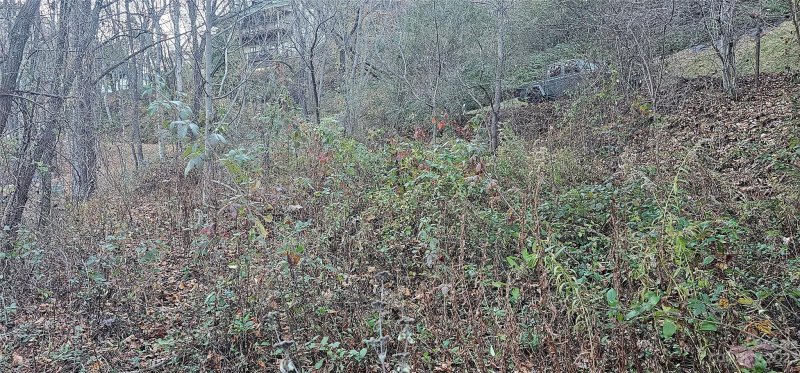 Property image 5 at 106 Silverleaf Circle, Maggie Valley, NC 28751