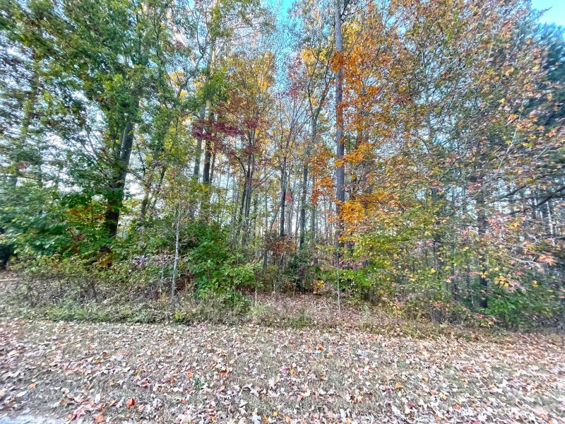 Property image 2 at 1065 Shawnee Trail, China Grove, NC 28023