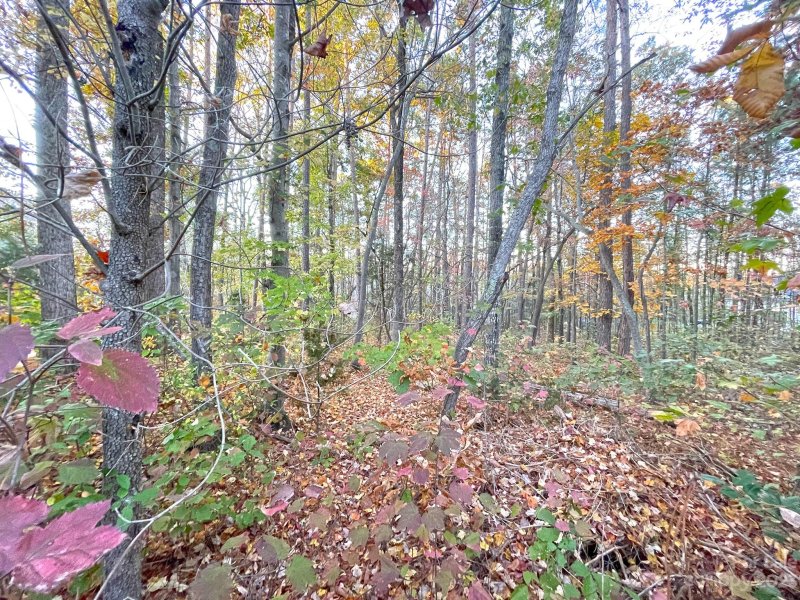 Property image 3 at 1065 Shawnee Trail, China Grove, NC 28023