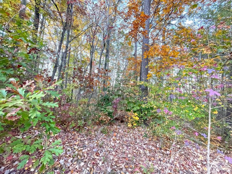 Property image 5 at 1065 Shawnee Trail, China Grove, NC 28023