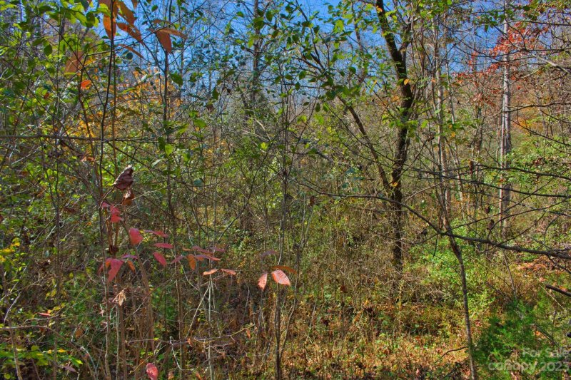 Property image 3 at 0 Willowby Run, Union Mills, NC 28167