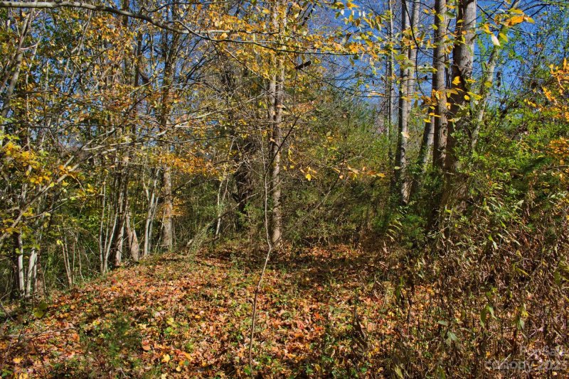 Property image 4 at 0 Willowby Run, Union Mills, NC 28167