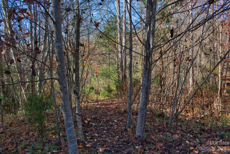 Property image 5 at 0 Willowby Run, Union Mills, NC 28167