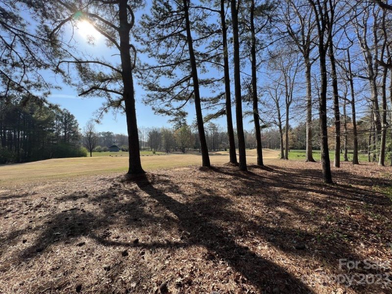 Property image 3 of 122 Patterson S Bridge None in Uwharrie Point, New London, NC 28127