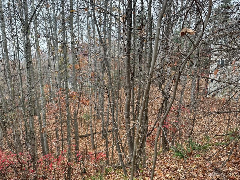 Property image 5 of 99999 Carriage Summit Way in Carriage Park, Hendersonville, NC 28791