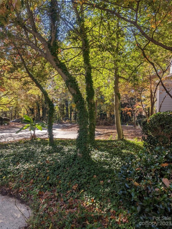 Property image 4 at 6008 Winged Elm Court, Charlotte, NC 28212