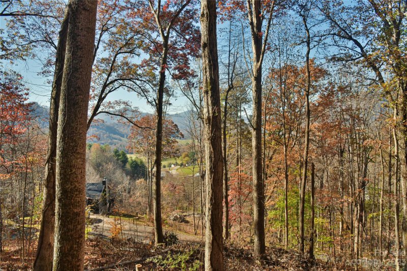 Property image 4 at 1133 Utah Mountain Road, Waynesville, NC 28785