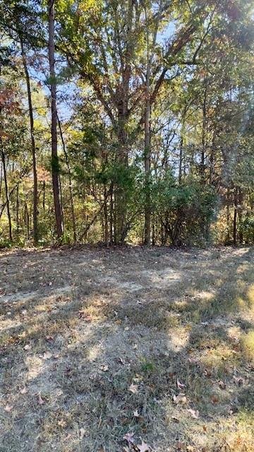 Property image 3 at 10628 South Ford Road, Charlotte, NC 28214