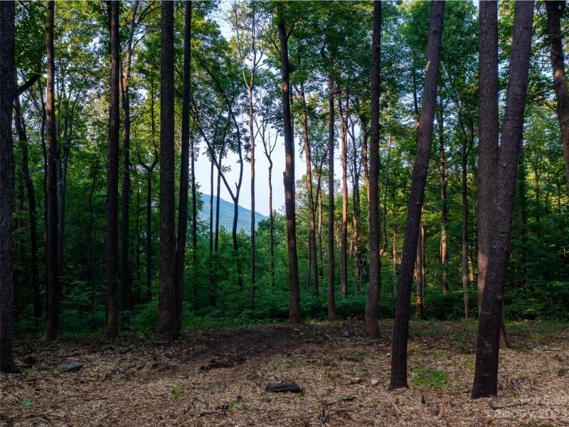 Property image 3 at Lot 2116 Harm Creek Loop, Mill Spring, NC 28756