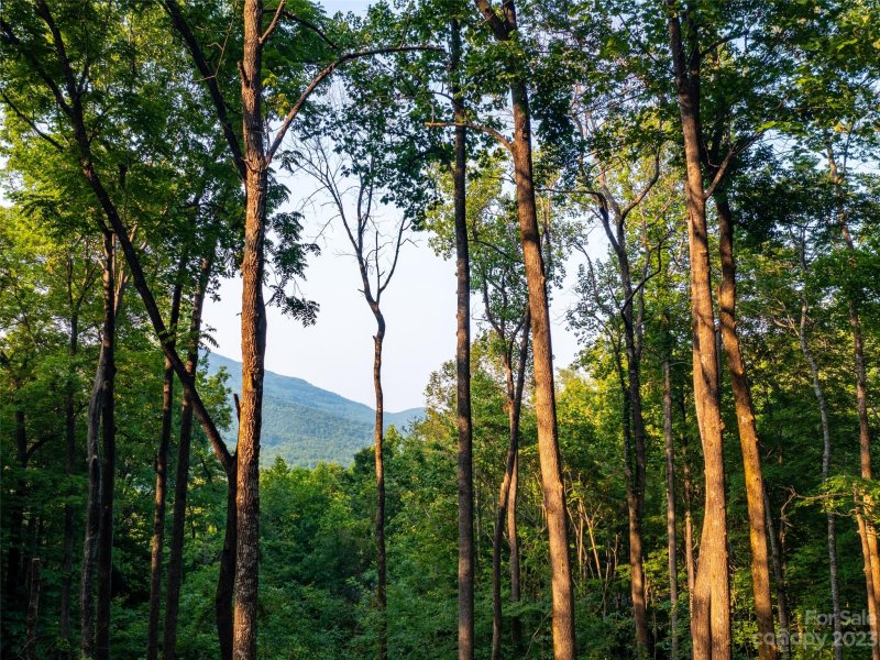 Property image 4 at Lot 2116 Harm Creek Loop, Mill Spring, NC 28756