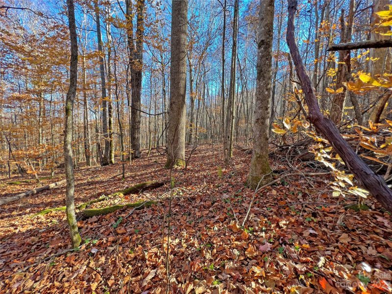 Property image 2 at 104 A Sweetwater Lane, Waynesville, NC 28786