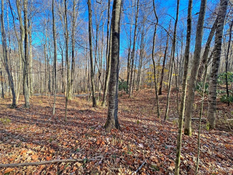 Property image 5 at 104 A Sweetwater Lane, Waynesville, NC 28786