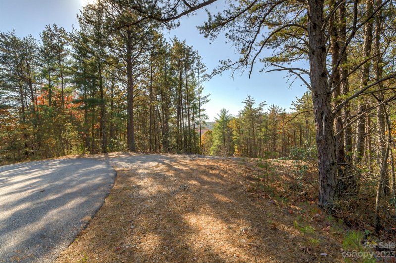 Property image 2 at 9484 Shortoff View Terrace, Nebo, NC 28761