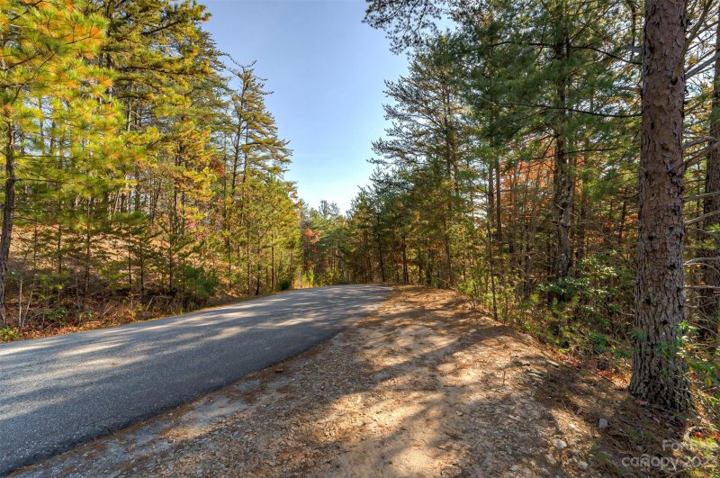 Property image 4 at 9484 Shortoff View Terrace, Nebo, NC 28761