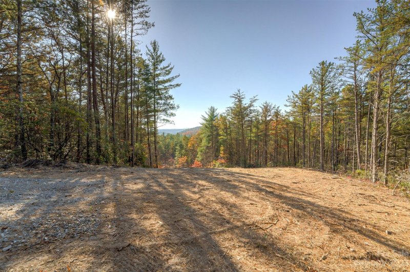 Property image 5 at 9484 Shortoff View Terrace, Nebo, NC 28761