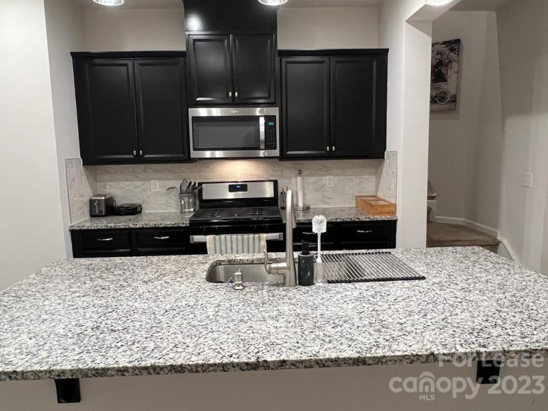 Property image 4 at 1131 Southern Sugar Drive, Charlotte, NC 28262