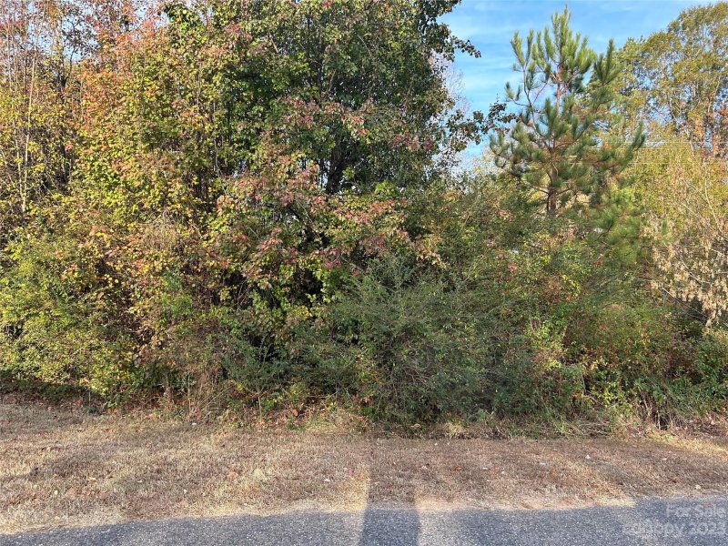 Lots 4 And 5 Poplar Circle