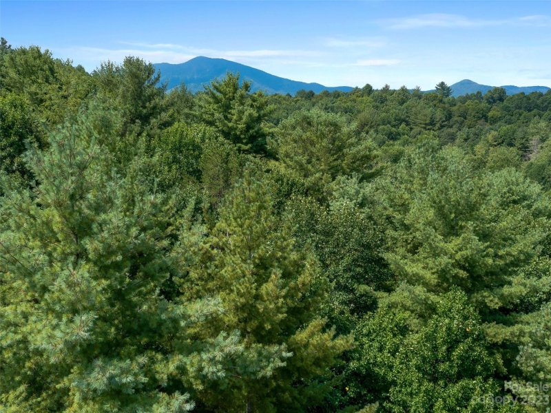 Property image 3 of 99999 Gordon Lane in Rivers Edge, Burnsville, NC 28714