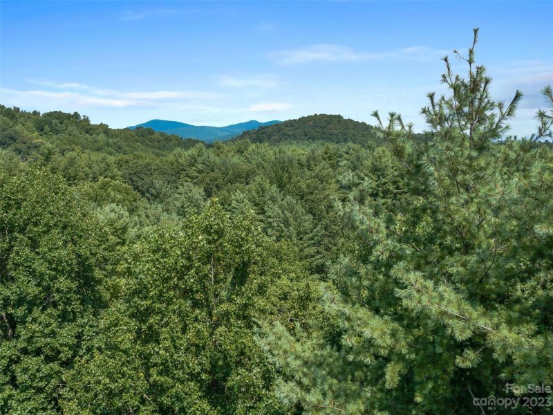 Property image 4 of 99999 Gordon Lane in Rivers Edge, Burnsville, NC 28714