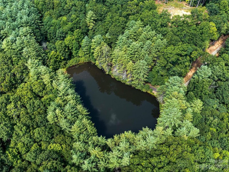 Property image 5 of 99999 Gordon Lane in Rivers Edge, Burnsville, NC 28714