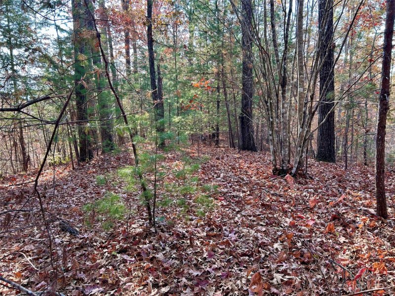 Property image 3 at 0 Clearwater Cove, Bryson City, NC 28713