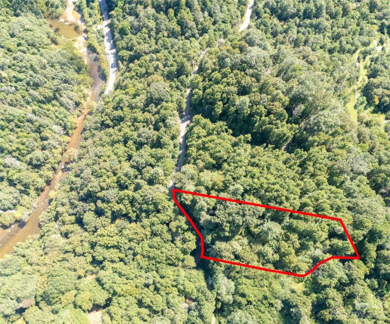 Property image 2 at 99999 Bear River Lodge Trail, Marshall, NC 28753