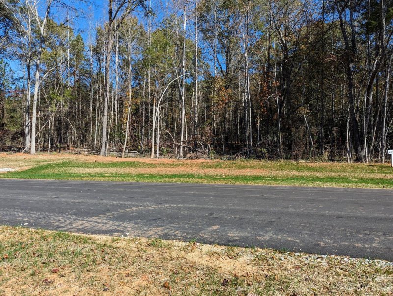 Property image 3 at 196 Heartland Drive, Rock Hill, SC 29732