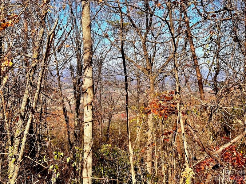 Property image 2 at 12 Harvest Trail Way, Leicester, NC 28748