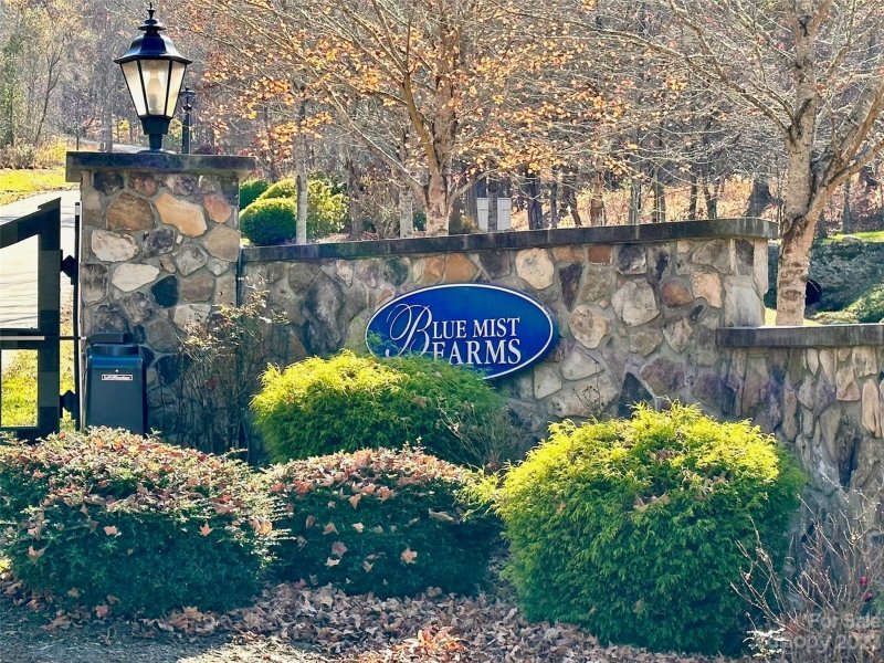 Property image 4 at 12 Harvest Trail Way, Leicester, NC 28748