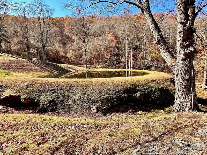 Property image 5 at 12 Harvest Trail Way, Leicester, NC 28748