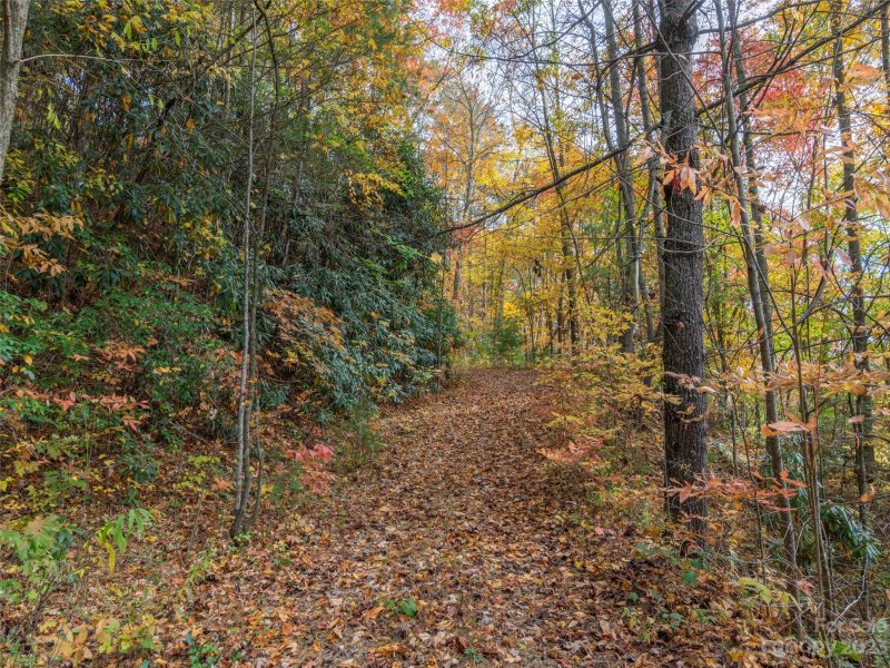 Property image 3 of 000 Wispy Willow Drive in Twin Oaks Estate, Waynesville, NC 28785