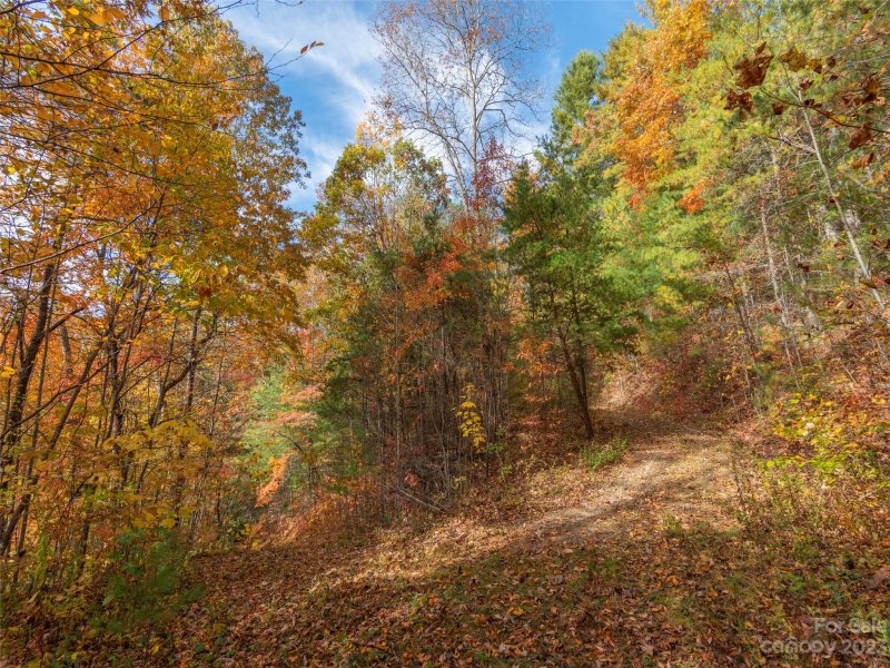 Property image 4 of 000 Wispy Willow Drive in Twin Oaks Estate, Waynesville, NC 28785