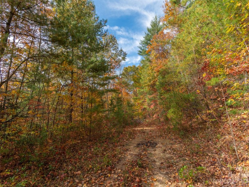 Property image 5 of 000 Wispy Willow Drive in Twin Oaks Estate, Waynesville, NC 28785