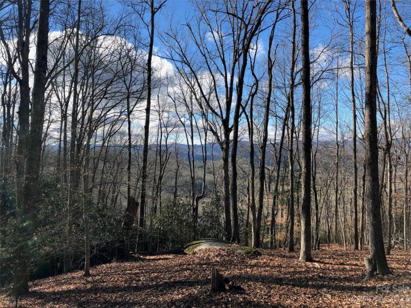 Property image 2 at L1 Paisley Lane, Pisgah Forest, NC 28768