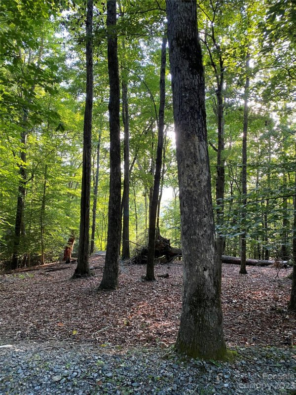 Property image 3 at L1 Paisley Lane, Pisgah Forest, NC 28768