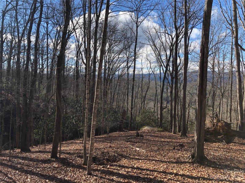 Property image 4 at L1 Paisley Lane, Pisgah Forest, NC 28768