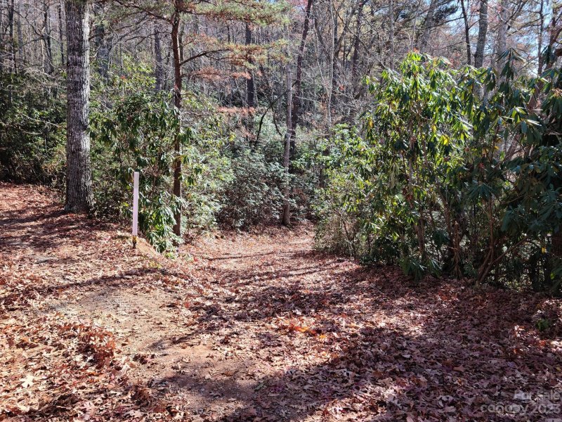 Property image 4 at 00 Blue Vista Road, Canton, NC 28716