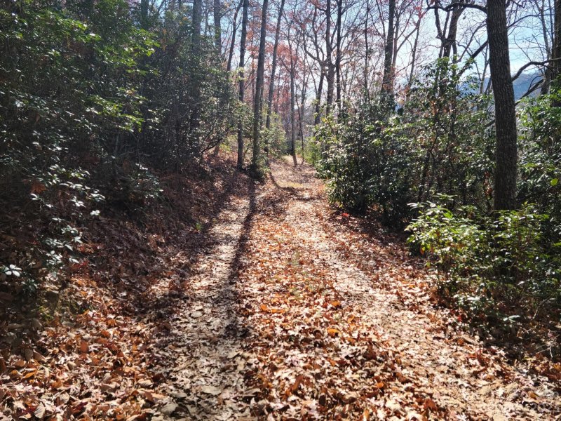 Property image 5 at 00 Blue Vista Road, Canton, NC 28716