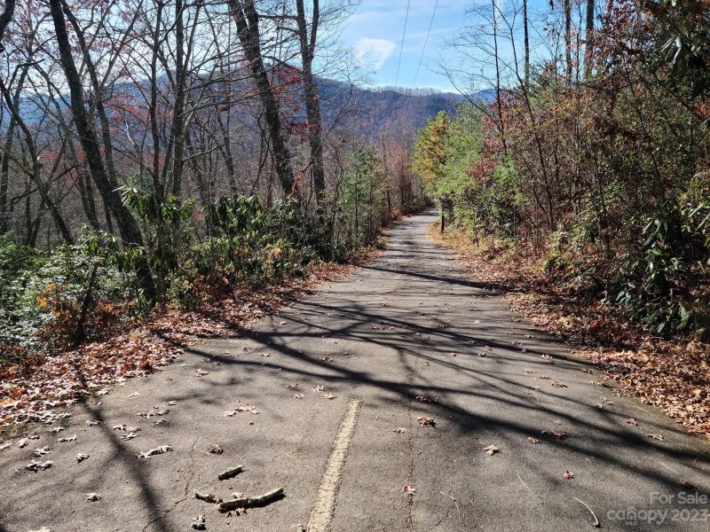 Property image 4 of 000000 Blue Vista Road in Blue Ridge Vistas, Canton, NC 28716