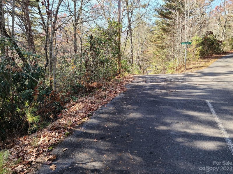 Property image 5 of 000000 Blue Vista Road in Blue Ridge Vistas, Canton, NC 28716