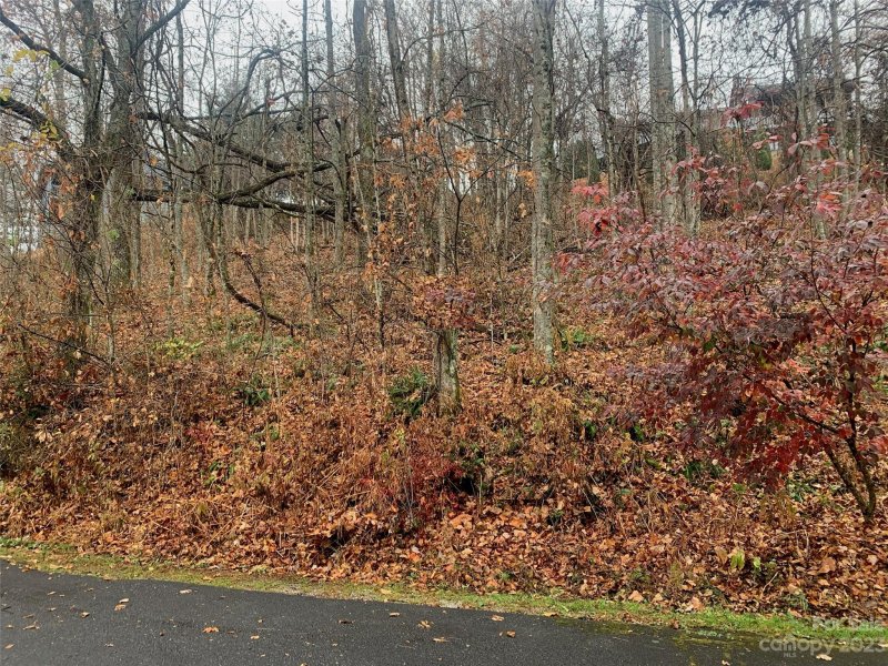 Property image 5 at Lot 4 Hawks Lane, Spruce Pine, NC 28777